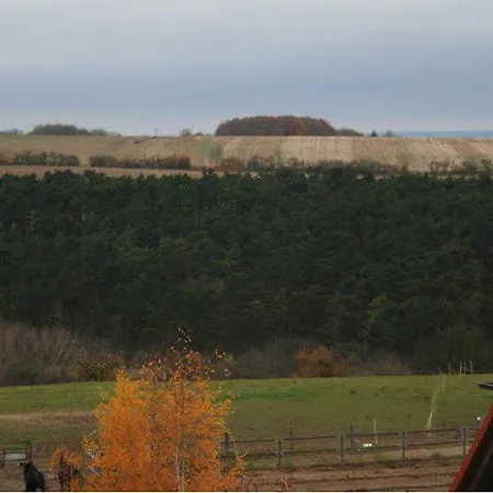 Im Alten Gut Apartment *